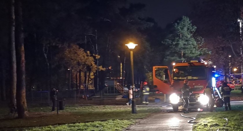 Fot.: Archiwum własne, Zdjęcie ilustracyjne