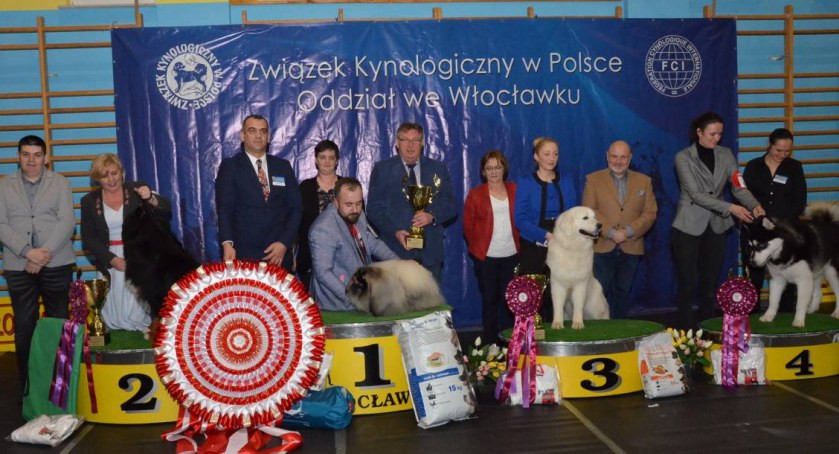 VII Zimowa wystawa psów rasowych 2019 w Choceniu/Archiwum własne