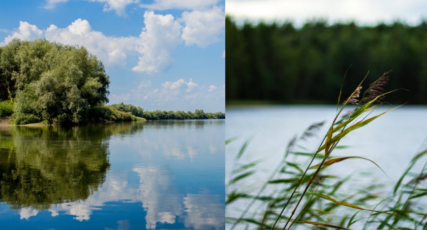 Fot. Freepik.pl