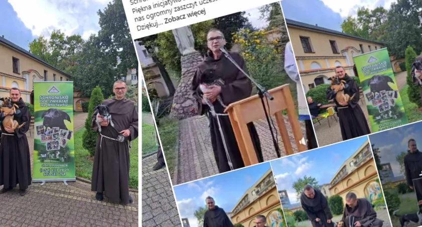 Fot. Schronisko dla zwierząt we Włocławku / FB