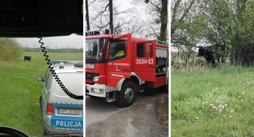 Fot. OSP Warząchewka Polska
