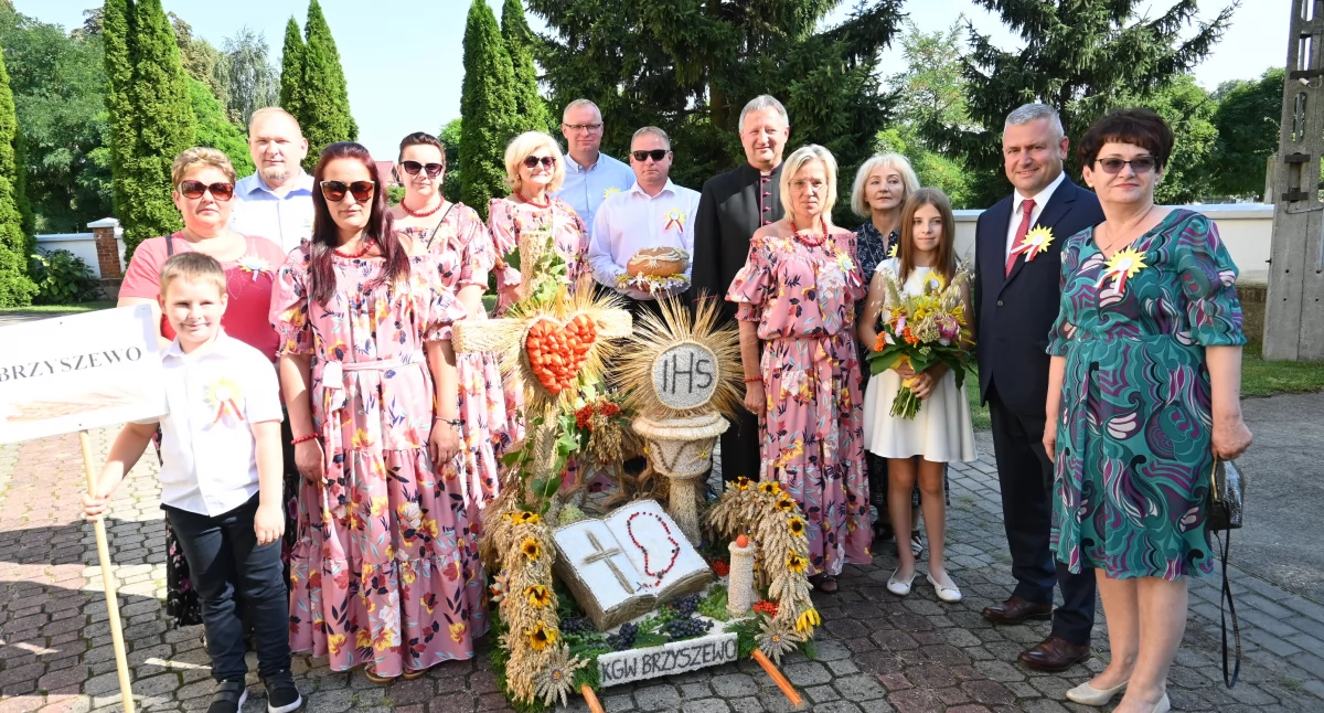 Rolnictwo, Dożynki Chodczu Szykuje pełna atrakcji impreza - zdjęcie, fotografia