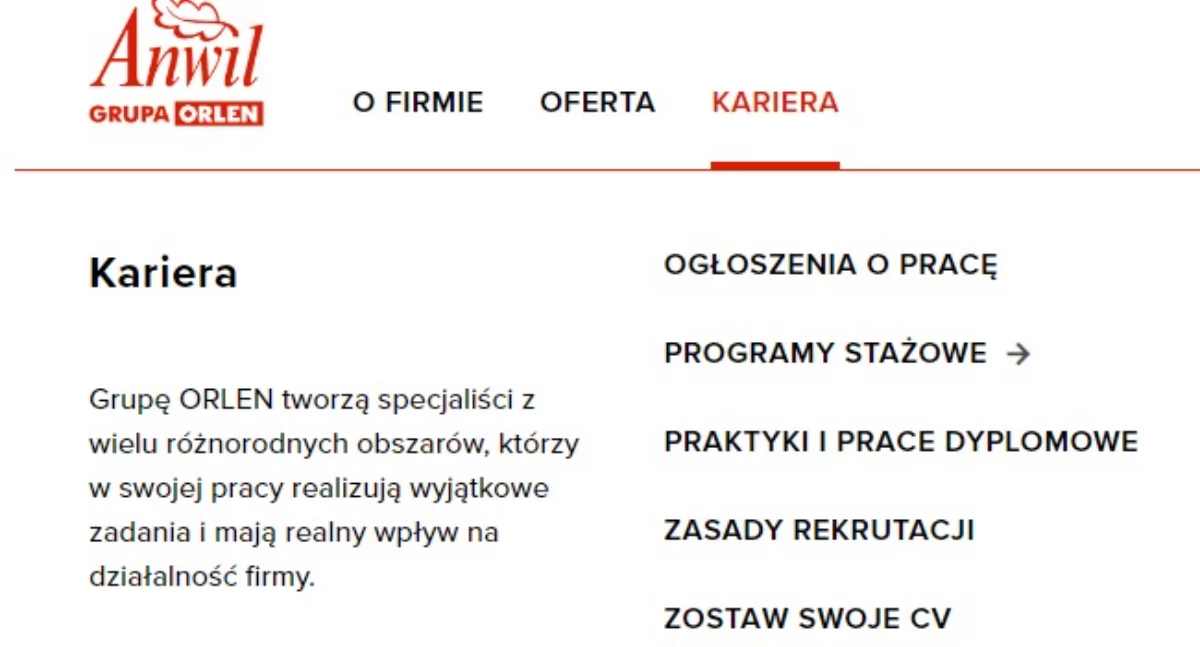 Rynek pracy, Praca Anwil Włocławku - zdjęcie, fotografia
