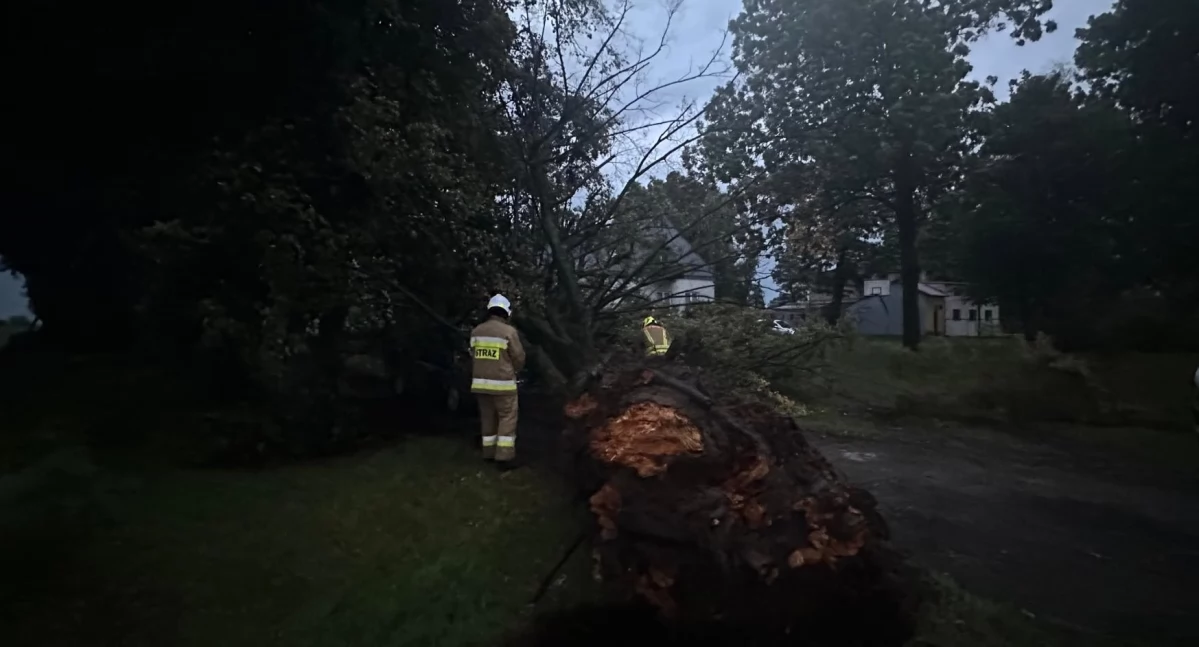 Fot.: OSP KSRG Brześć Kujawski