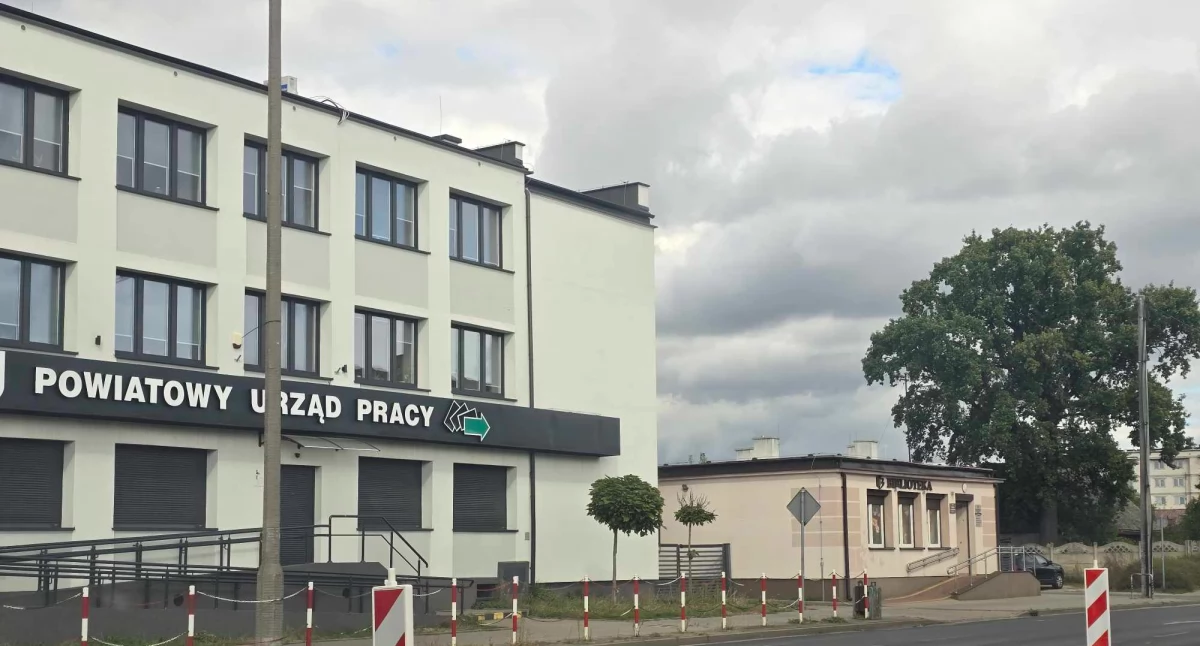Rynek pracy, Praca Włocławku [OFERTY PRACY] - zdjęcie, fotografia
