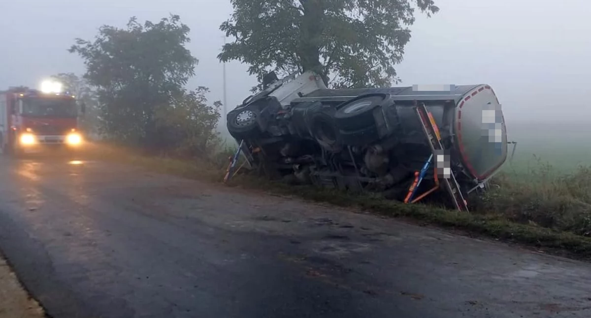 Wypadki drogowe, Ciężarowa scania uderzyła drzewo [ZDJĘCIA] - zdjęcie, fotografia
