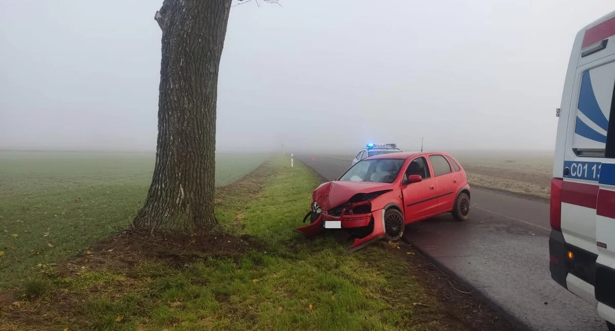 Wypadki drogowe, Osobówka uderzyła drzewo latek zapanował autem [ZDJĘCIA] - zdjęcie, fotografia