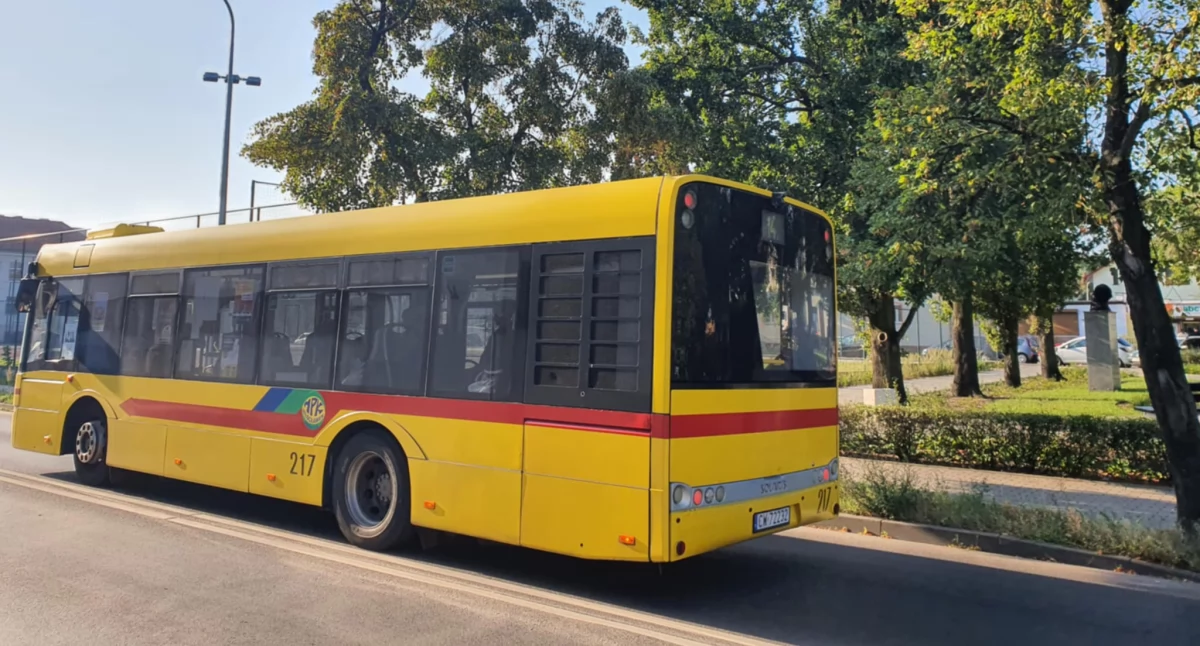 Komunikacja, Włocławek przejazdów darmo będą kursować autobusy - zdjęcie, fotografia
