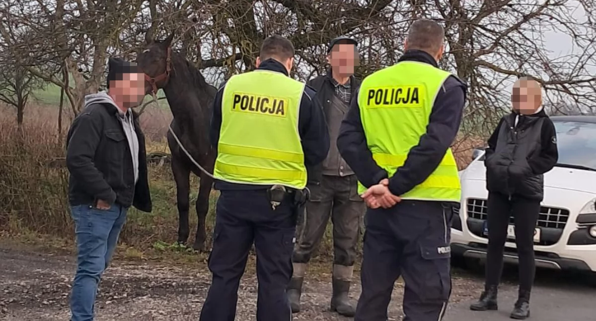 Policja - komunikaty policyjne, drodze powiatowej Nietypowa interwencja policjantów - zdjęcie, fotografia