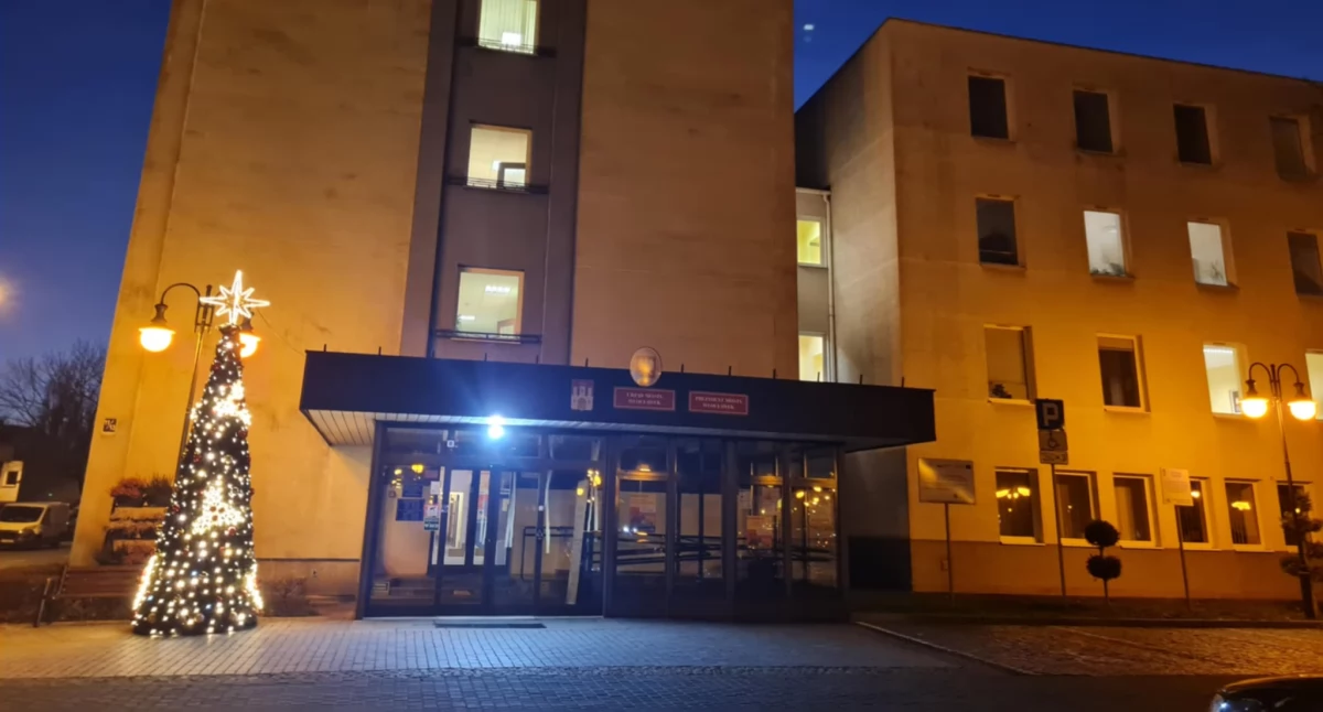 Urząd Miasta, Praca Włocławku Nabór Stanowisko Dyrektora Urzędzie Miasta Włocławku - zdjęcie, fotografia