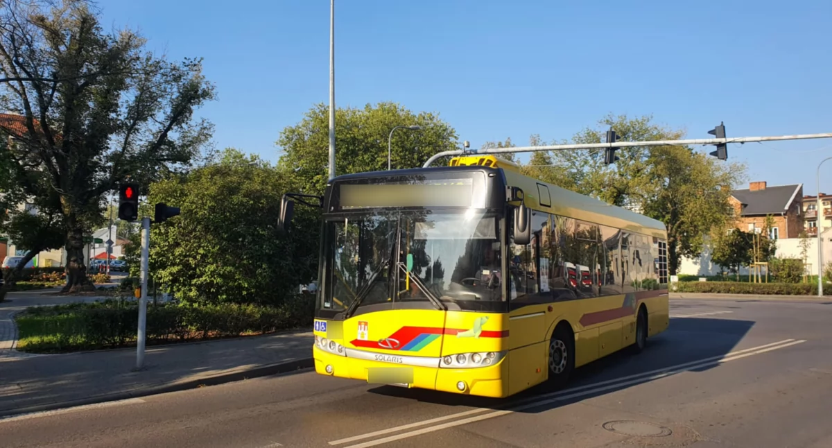 Wypadki drogowe, Zderzenie autobusem Michelinie Włocławku - zdjęcie, fotografia
