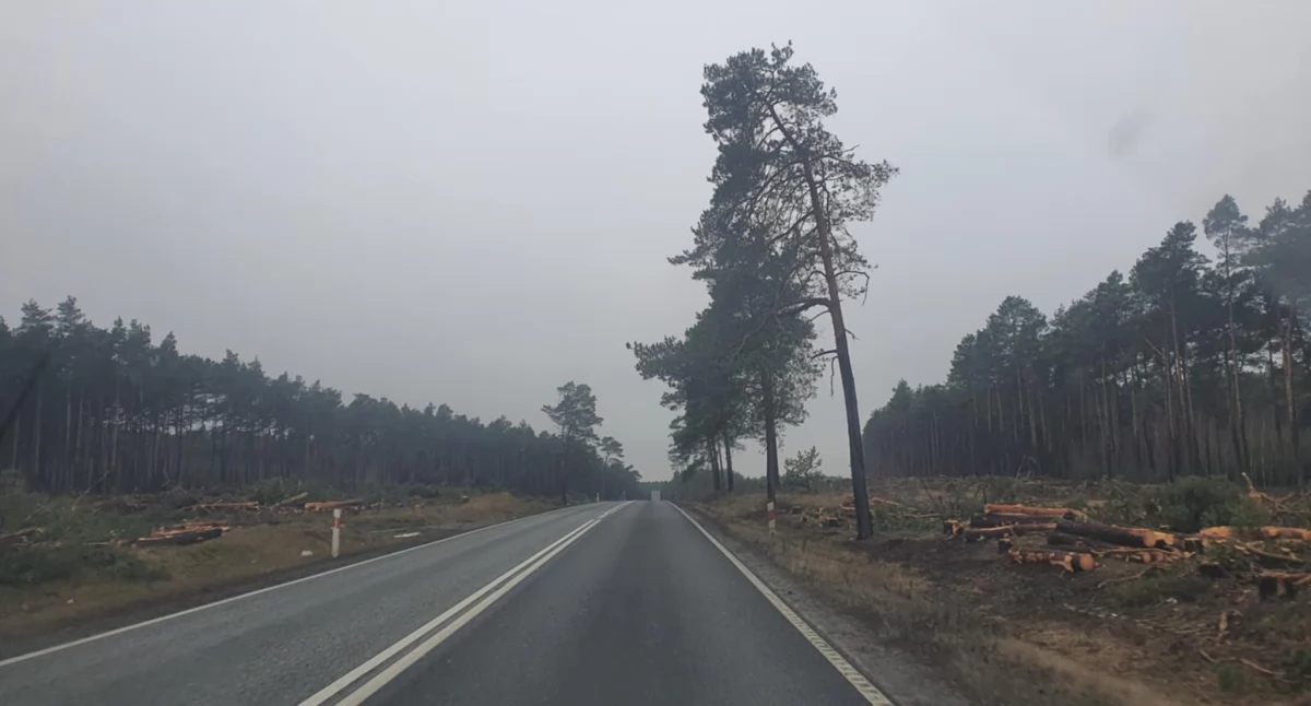 Komunikacja, coraz bliżej! Kluczowa decyzja przyspiesza budowę trasy - zdjęcie, fotografia