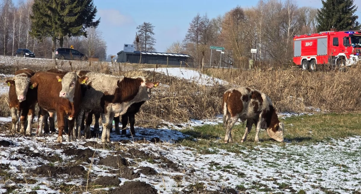 Fot. OSP Izbica Kujawska