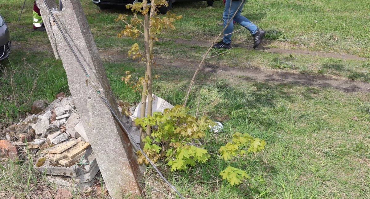 Policja - komunikaty policyjne, przyłącze darmowy prąd mieszkaniec rękach policji - zdjęcie, fotografia