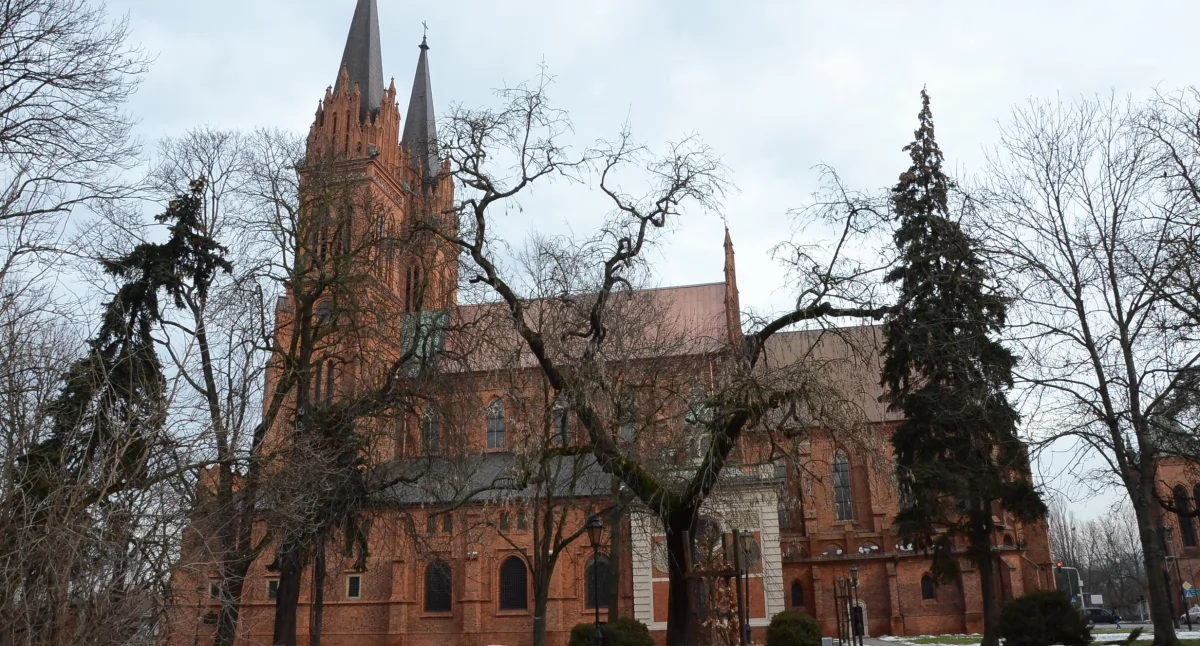 Ludzie_, Jubileusz lecia Caritas Diecezji Włocławskiej wkrótce uroczystości Włocławku - zdjęcie, fotografia