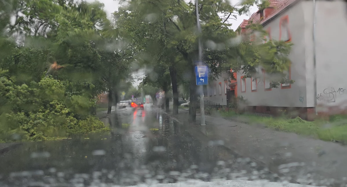 Komunikaty, Ulewy wracają Włocławka okolic Synoptycy ostrzegają przed intensywnymi opadami burzami - zdjęcie, fotografia