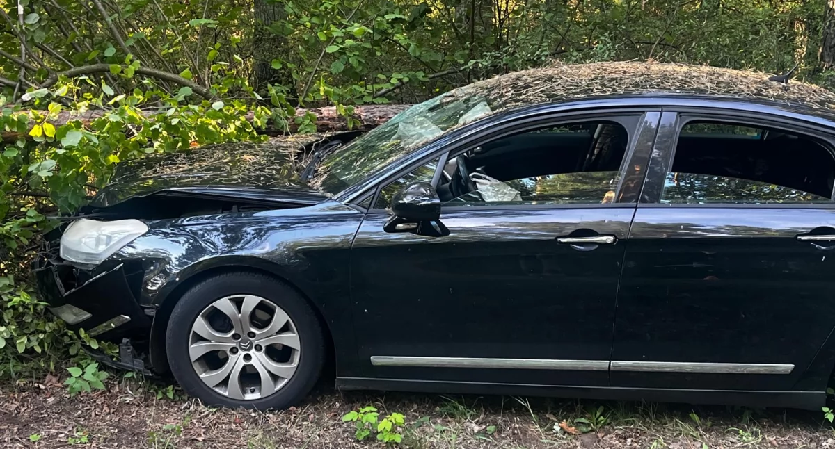 Wypadki drogowe, Wypadek Brzeziu Citroën dziećmi uderzył drzewo Rodzina szpitalu - zdjęcie, fotografia