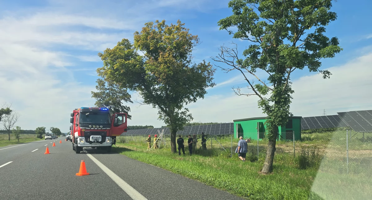 Pożary interwencje straży , Zadymienie farmie fotowoltaicznej Interweniowała Straż Pożarna - zdjęcie, fotografia