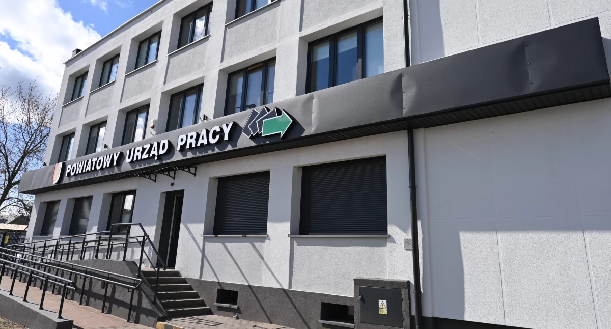 Rynek pracy, Dotacja Włocławek własny biznes wkrótce rusza nabór wniosków 2025! - zdjęcie, fotografia