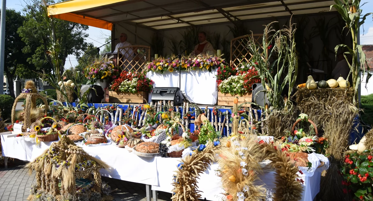 Rolnictwo, Dożynki Brześć Kujawski Golec uOrkiestra gwiazdą święta plonów [PROGRAM] - zdjęcie, fotografia