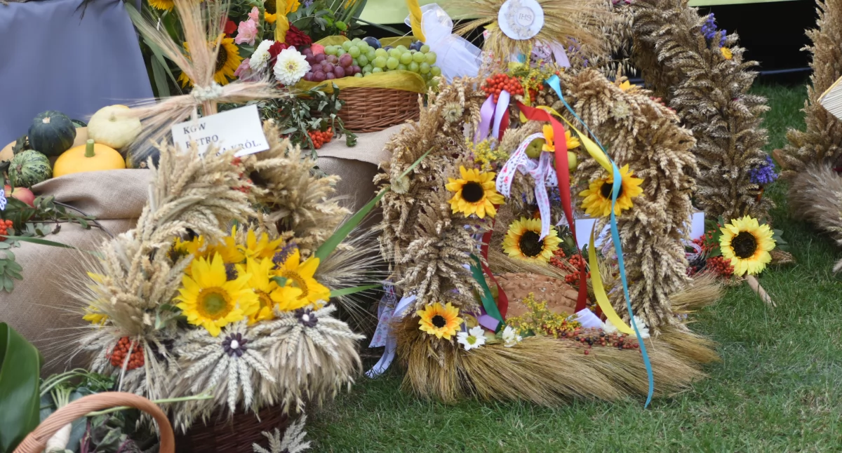 Rolnictwo, Dożynki Kruszynie [PROGRAM] Piękni Młodzi Dawid Narożny Jacek Stachursky Selfie - zdjęcie, fotografia
