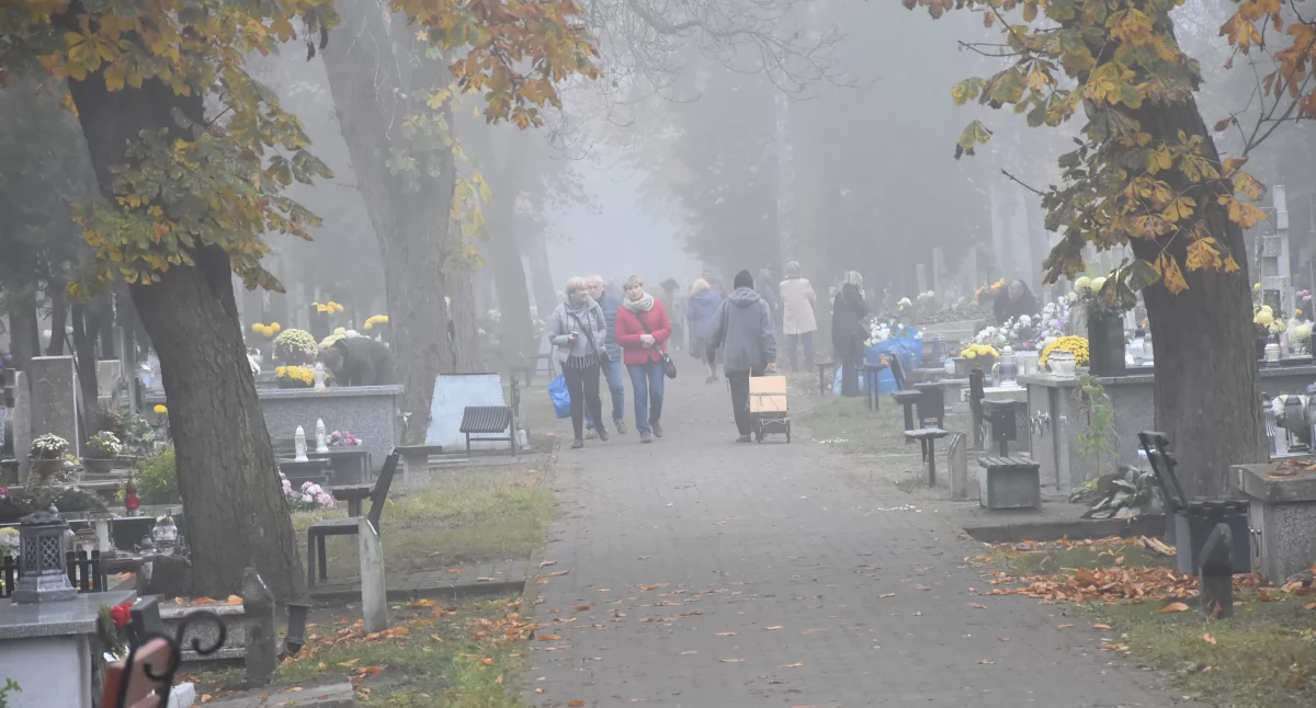 Ludzie_, Włocławek powiększy cmentarz Chopina Radny znać plany miasta - zdjęcie, fotografia