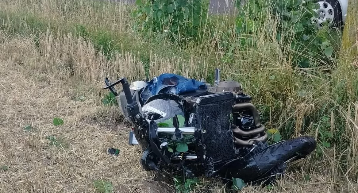 Wypadki drogowe, Zderzenie motocyklisty sarną Konarach latek szpitalu - zdjęcie, fotografia