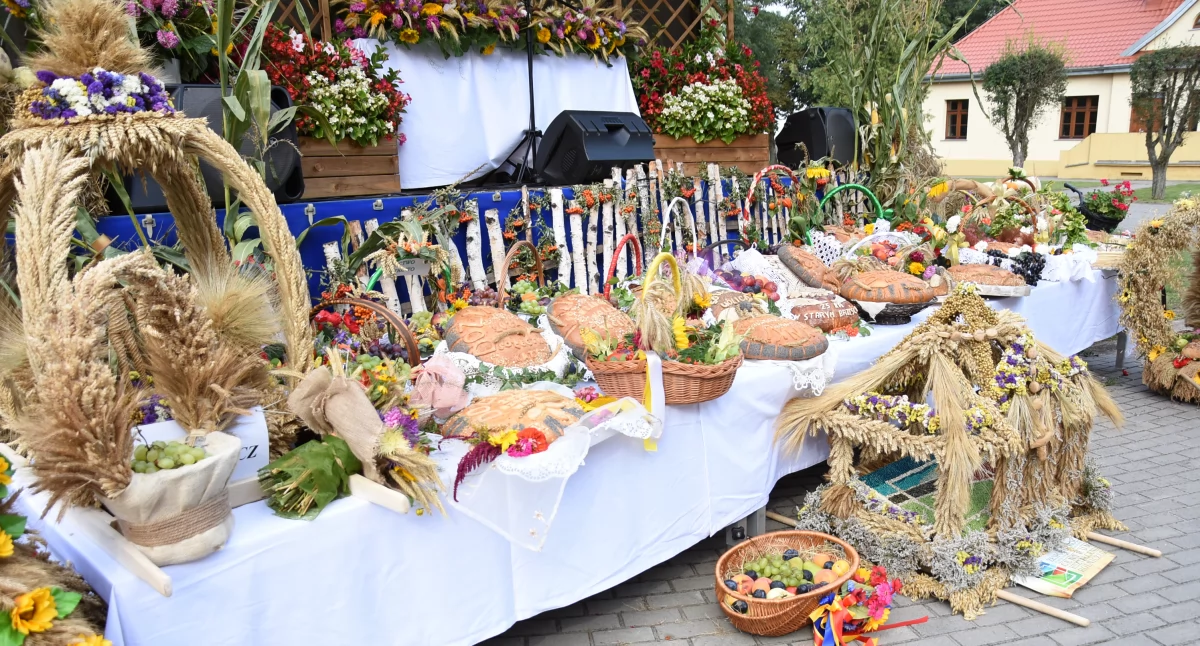 Rolnictwo, Dożynki Brześć Kujawski Święto plonów Golec uOrkiestrą - zdjęcie, fotografia