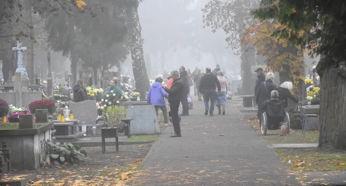 Komunikaty, Wszystkich Świętych Włocławek godziny otwarcia cmentarzy Chopina Pińczacie - zdjęcie, fotografia