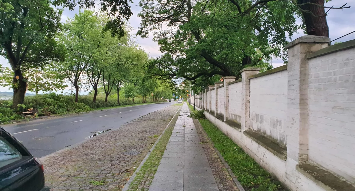 Wypadki drogowe, latka potrąciła letniego rowerzystę Włocławku - zdjęcie, fotografia