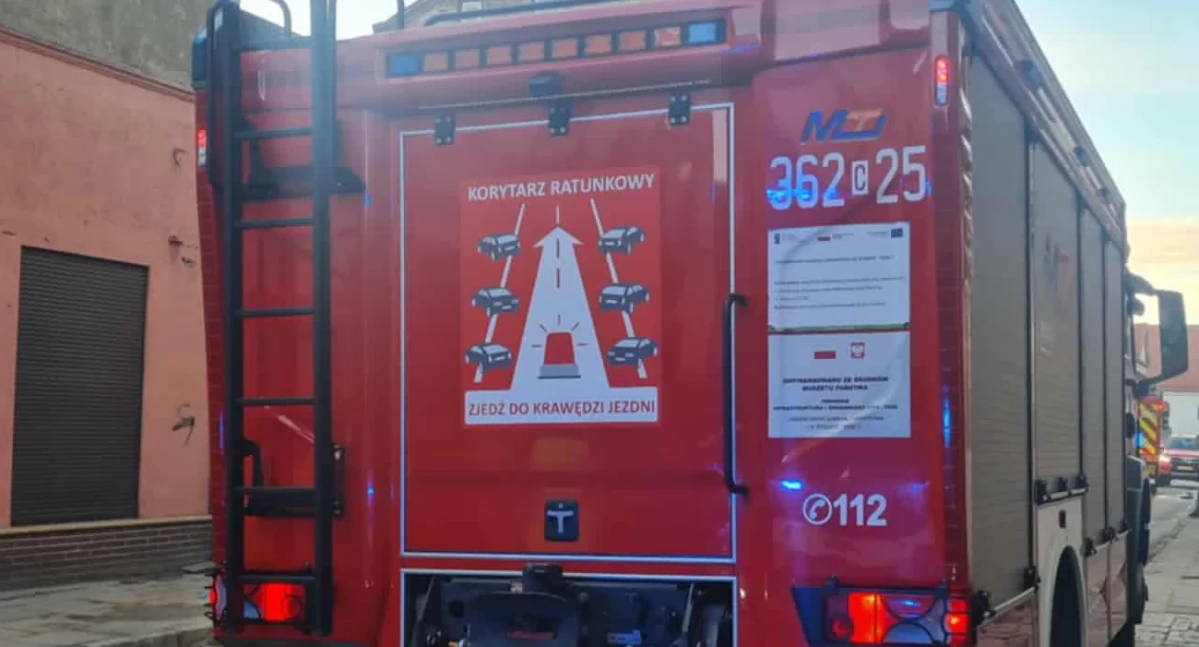 Pożary interwencje straży , Ogień kamienicy Kaliskiej Włocławku pożarze zginęły Uratowano jedynie żółwia - zdjęcie, fotografia