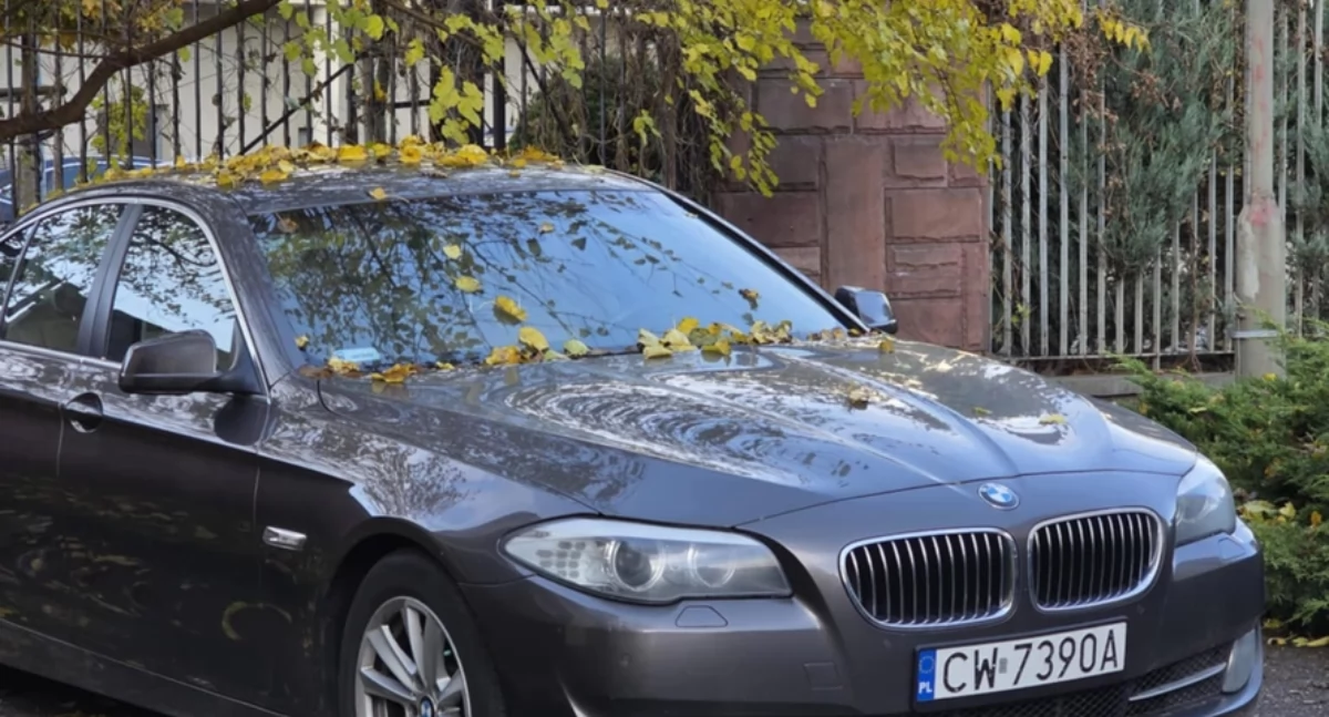 Urząd Miasta, Włocławek wystawia sprzedaż nabór ofert - zdjęcie, fotografia