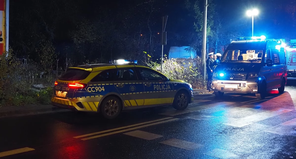 Wypadki drogowe, Tragedia regionie Pijany kierowca dostawczaka zabił kobietę foliowym tunelem - zdjęcie, fotografia