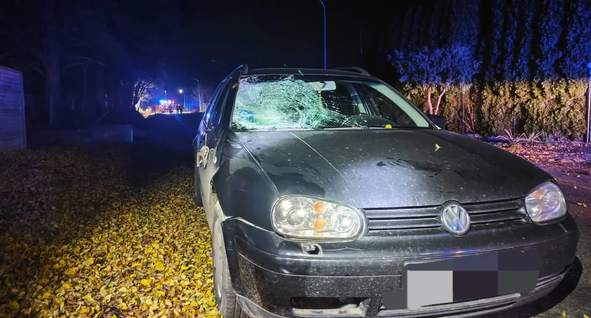 Wypadki drogowe, Tragiczny finał potrącenia latki Nastolatka zmarła szpitalu latek trafił aresztu - zdjęcie, fotografia