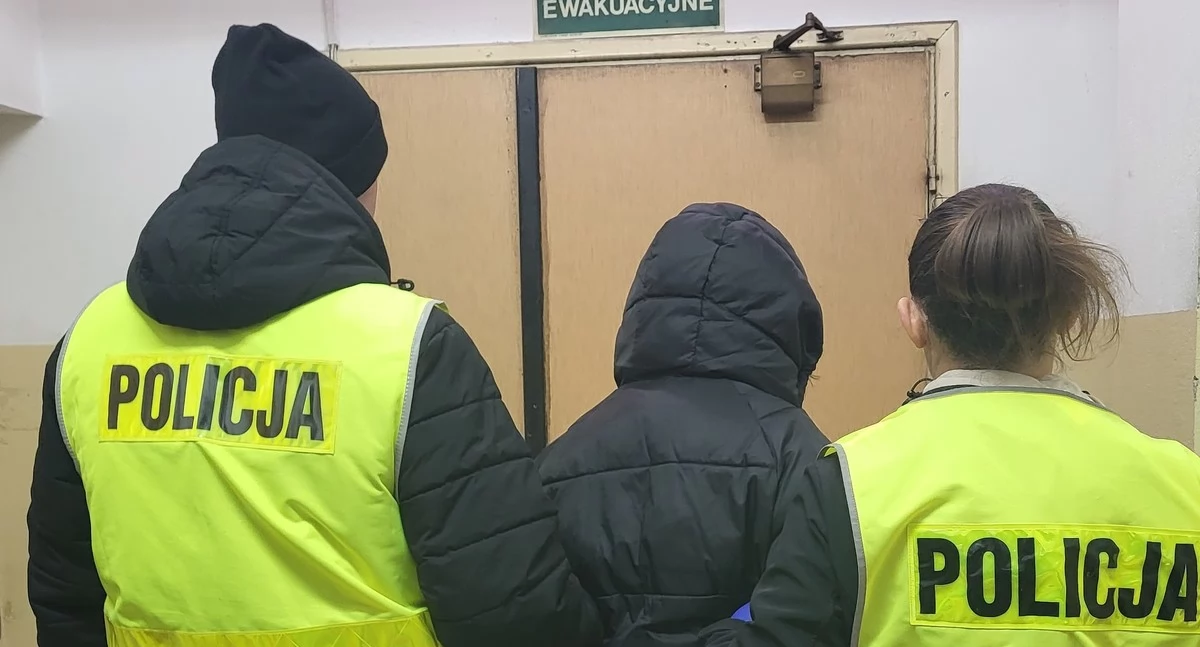 Policja - komunikaty policyjne, Seria uszkodzeń samochodów Włocławku Policja złapała sprawczynię - zdjęcie, fotografia