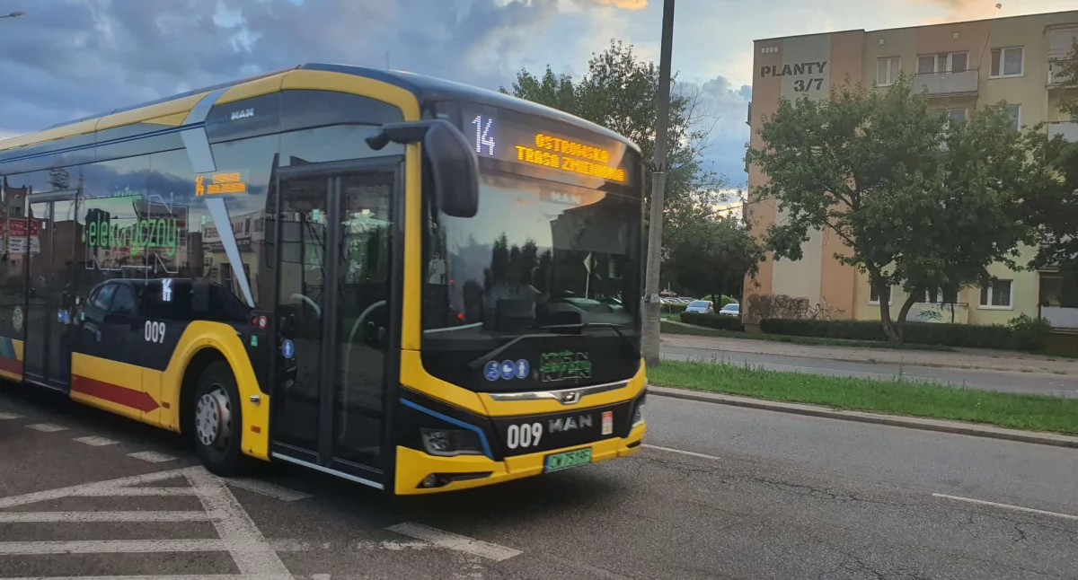Komunikacja, Włocławek zmienia trasy linii autobusowych - zdjęcie, fotografia