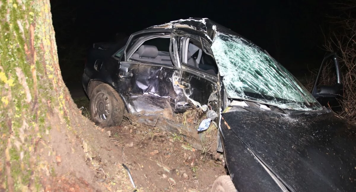 Wypadki drogowe, Tragiczny wypadek regionie żyje letni kierowca uderzyło drzewo - zdjęcie, fotografia