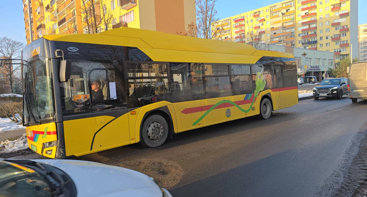 Komunikacja, Włocławek zmienia lokalizacje przystanków Kaliskiej - zdjęcie, fotografia