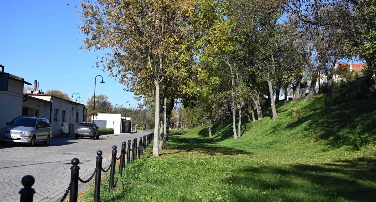 Rynek pracy, Praca Brześć Kujawski ruszył nabór dyrektora - zdjęcie, fotografia