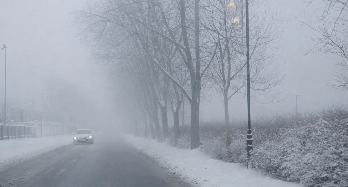 Pogoda, Gęsta mgła Włocławkiem ostrzega kierowców pieszych - zdjęcie, fotografia