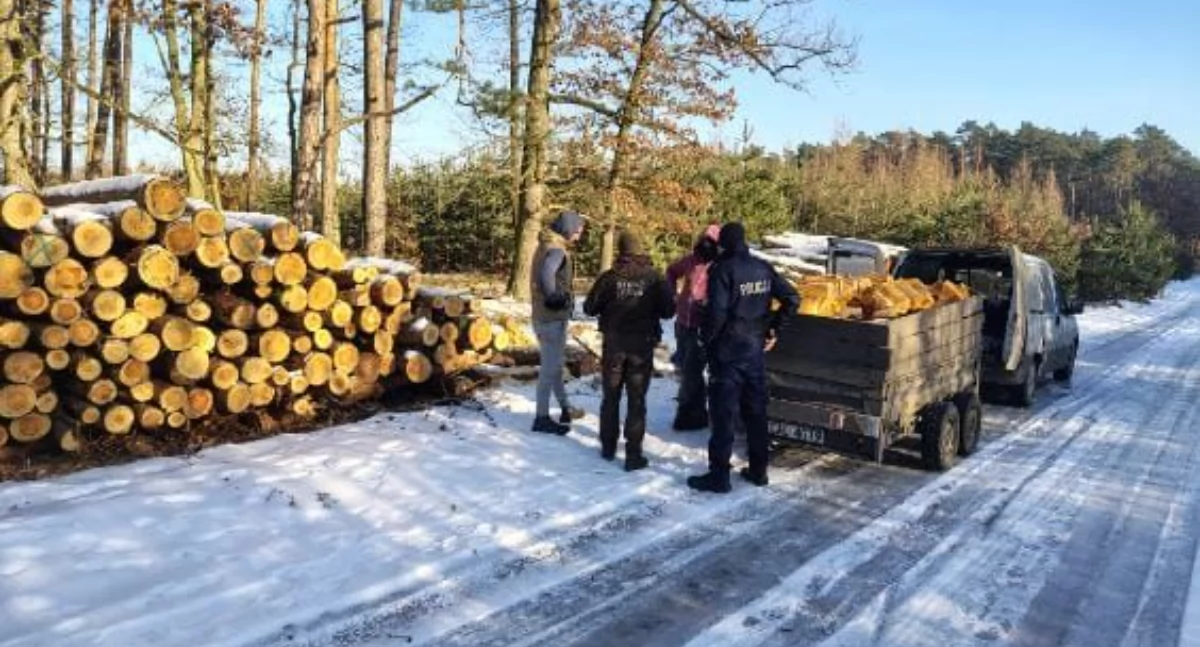 Ludzie_, Straż Leśna policja razem terenie Chodzi drewno śmieci porządek - zdjęcie, fotografia