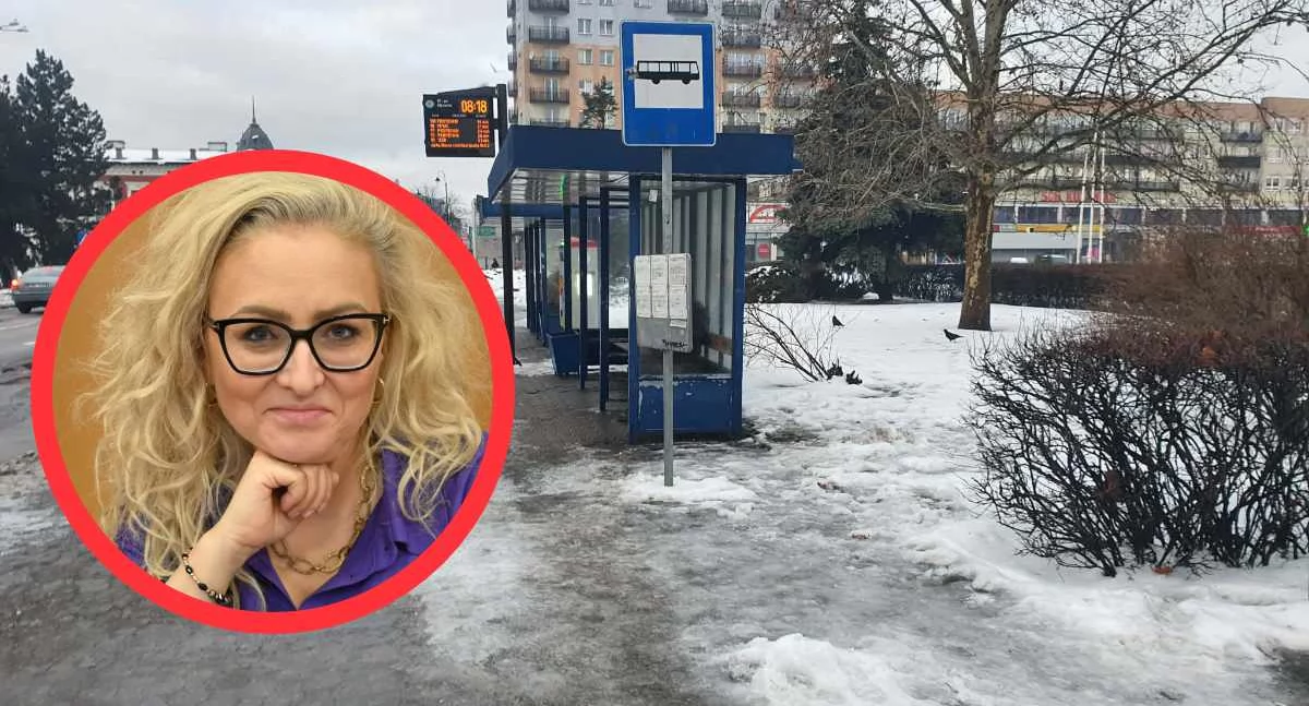 Urząd Miasta, Fajans przystankach ulotki restauracjach pomysły radnej trafiły ratusza - zdjęcie, fotografia