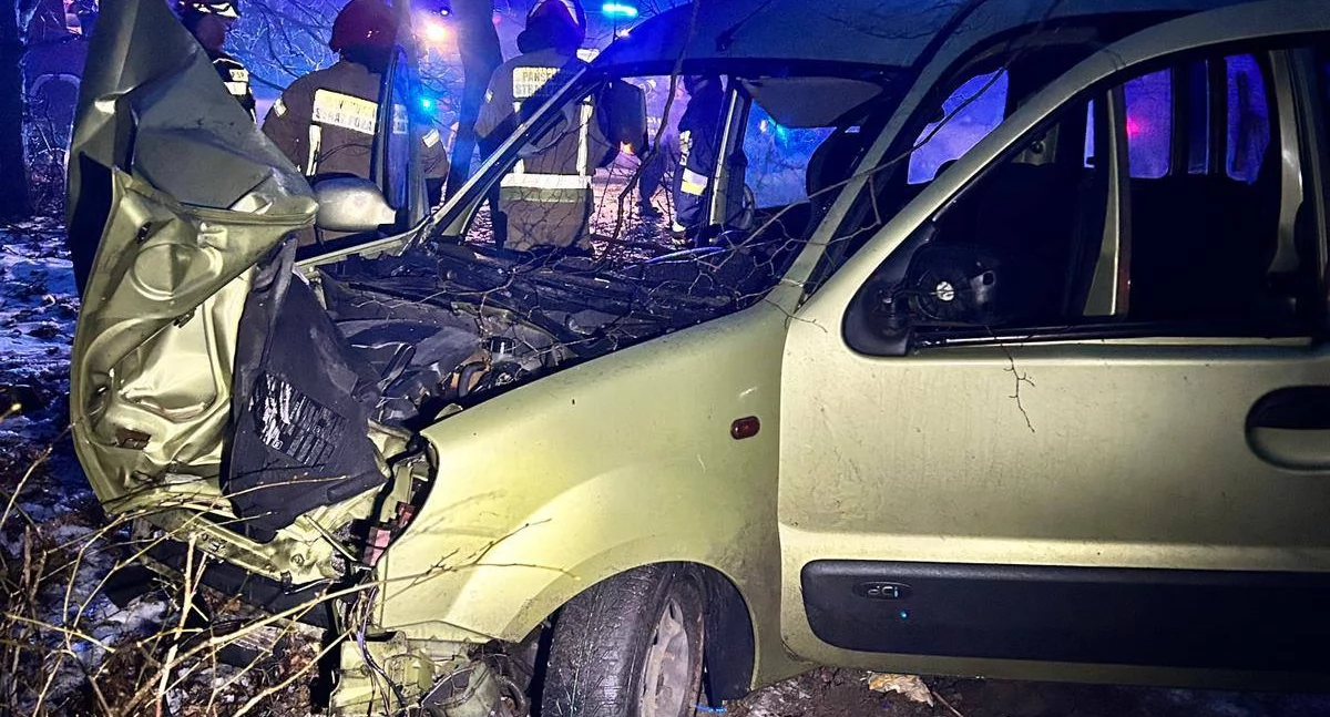 Pożary interwencje straży , Niebezpieczne zderzenie dzikiem regionie wypadło drogi - zdjęcie, fotografia