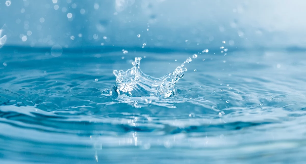 Komunikaty, Włocławek niezdatna spożycia rejonie Królewieckiej - zdjęcie, fotografia