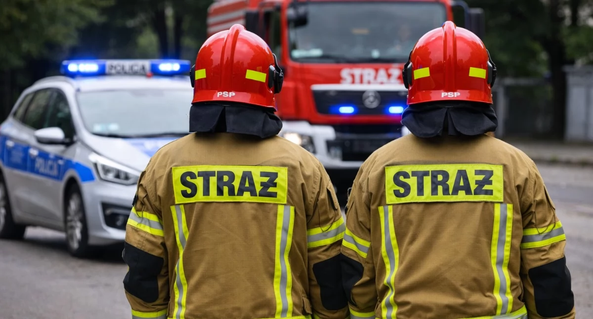 Fot. Zdjęcie ilustracyjne / archiwum nwloclawek.pl