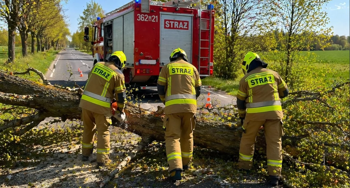Pogoda, Alert Włocławka okolic Silny wiatr uderza region - zdjęcie, fotografia