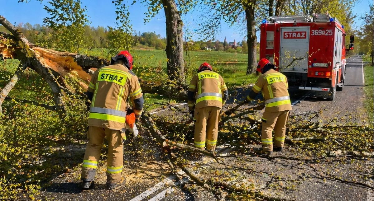 Fot. Zdjęcie ilustracyjne / AI