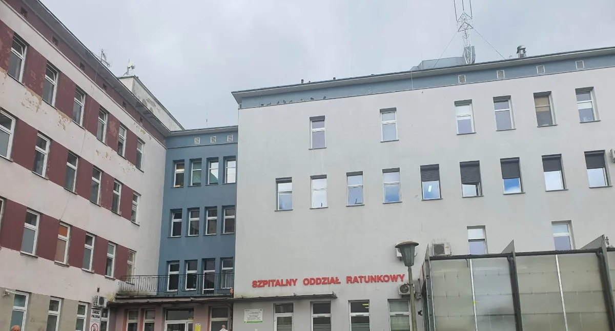 Rynek pracy, Praca Włocławku Szpital Maluch prowadzą nabór - zdjęcie, fotografia