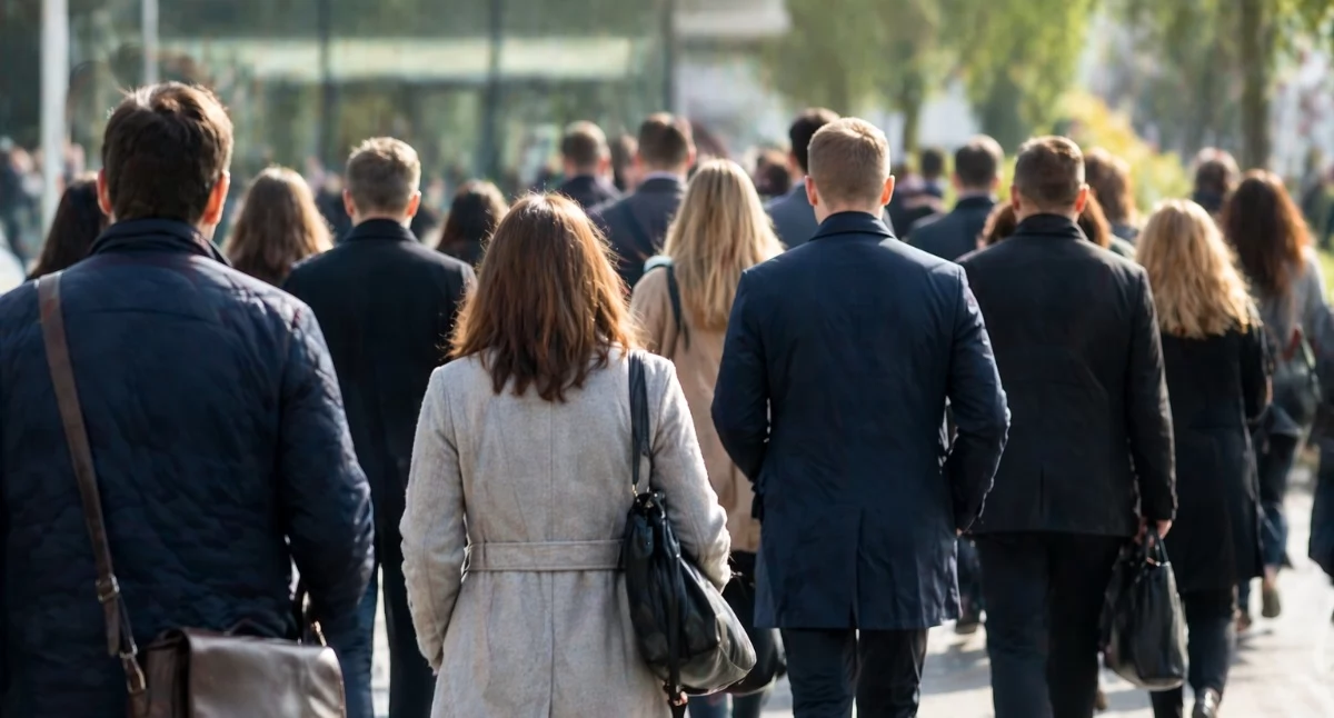 Rynek pracy, Praca regionie Kolejne oferty pracy - zdjęcie, fotografia