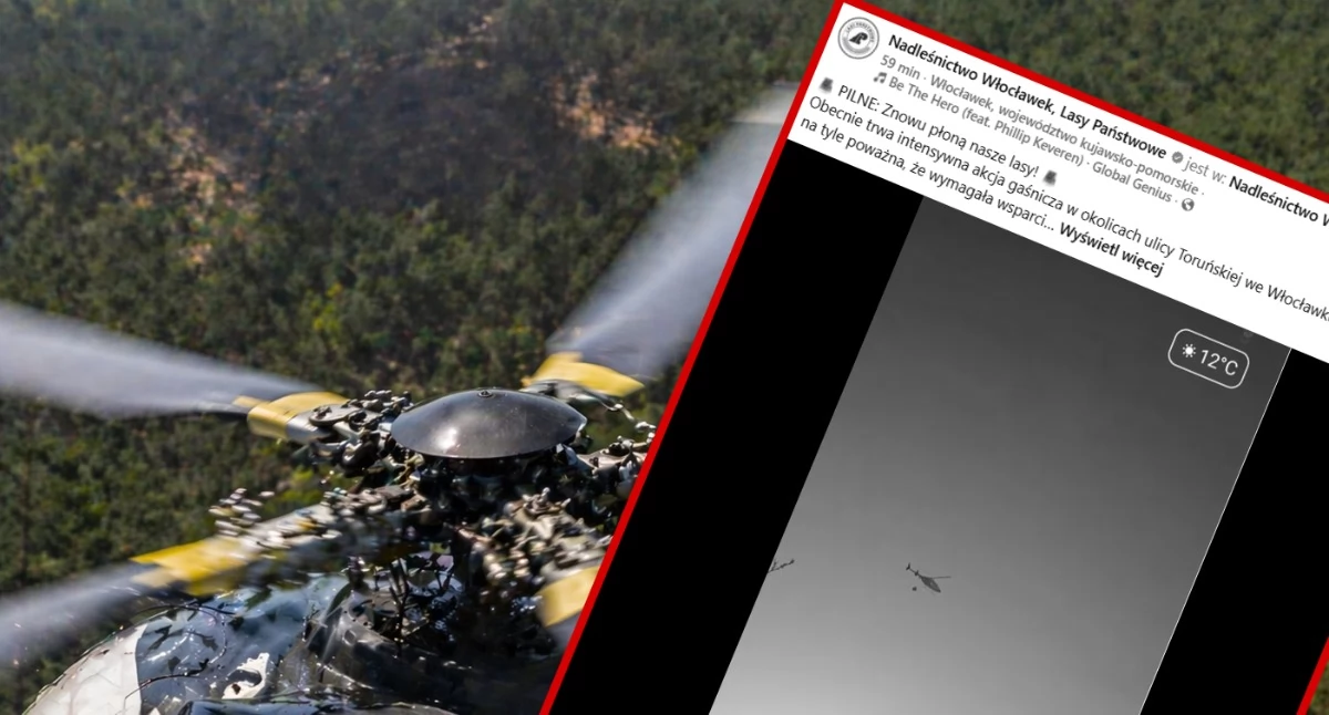 Fot. AI / screen Nadleśnictwo Włocławek Lasy Państwowe